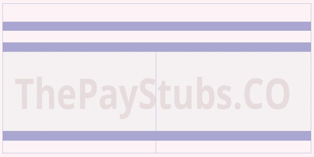 Advanced pay stub template