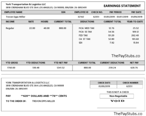 Online California Sample PayStub ThePayStubs