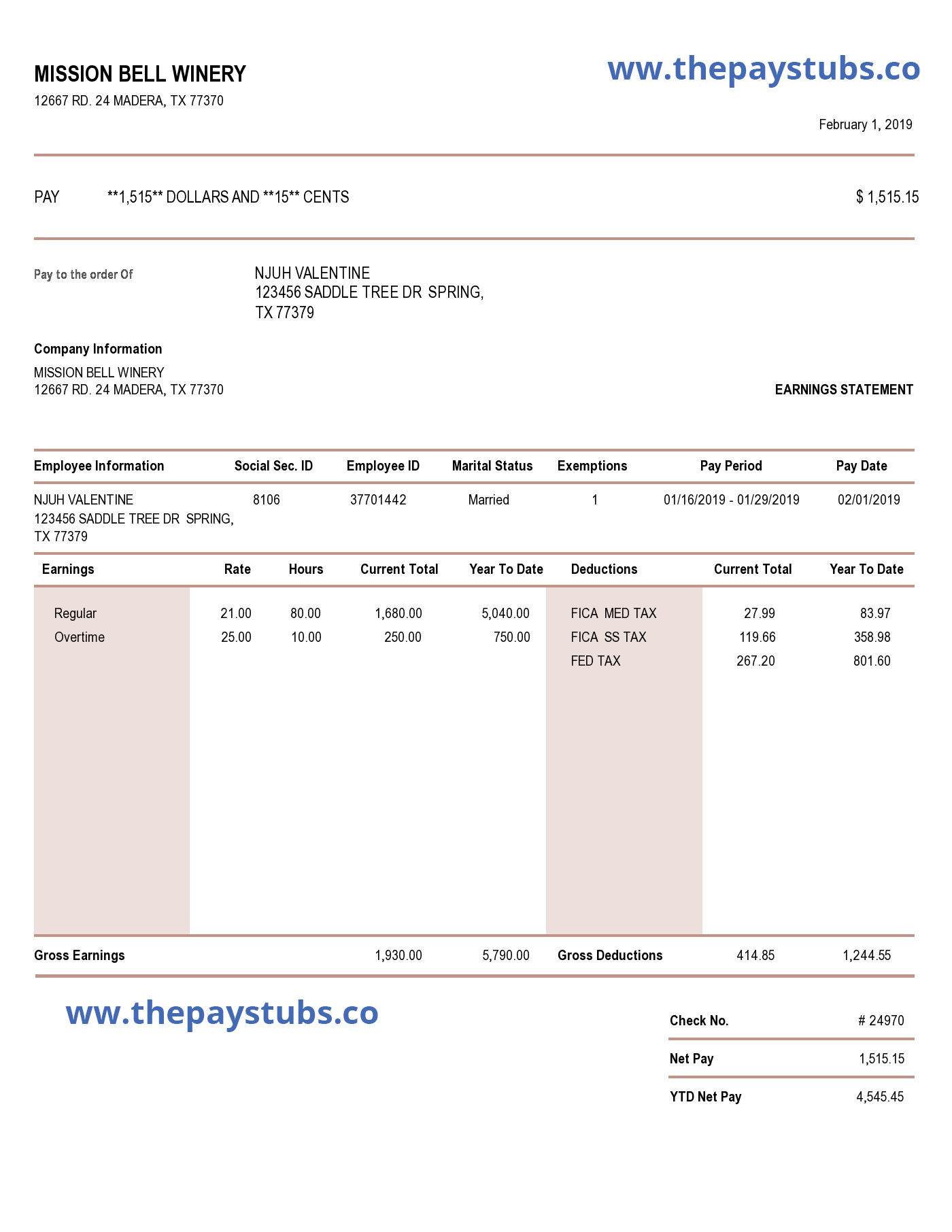 New advance pay stub template full page