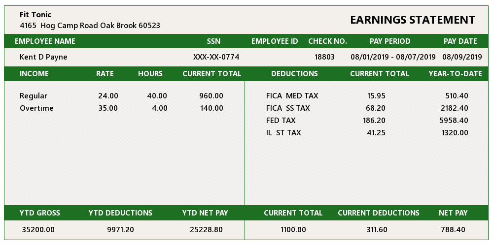 Sample Pay Stub For Illinois State ThePayStubs